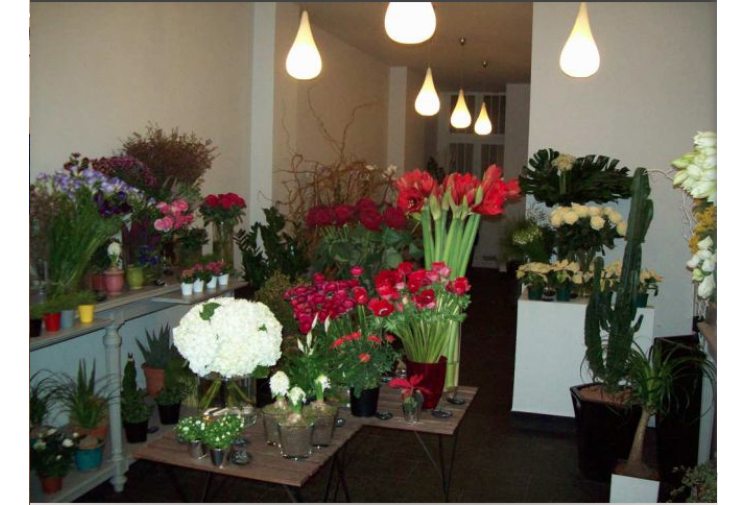 Local commercial PARIS 4EME  60 m² PRIX : 78 750 € 