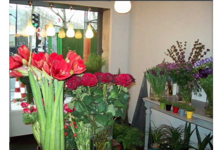 Local commercial PARIS 4EME  60 m² PRIX : 78 750 € 